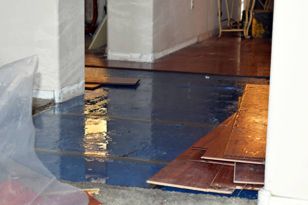 Professional Emergency Water Damage Restoration technician working in Hoodsport, WA